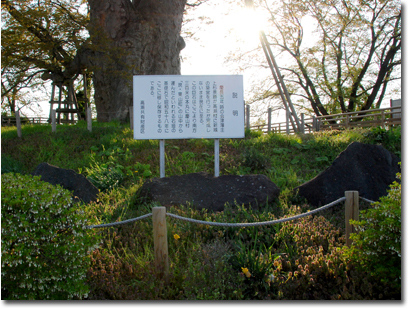 高瀬の巨石