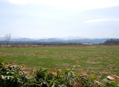 黒松内町の田野