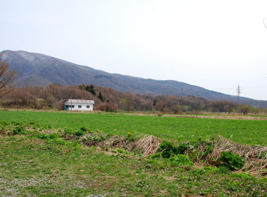 南作開田野