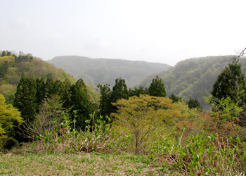 味土野の景観