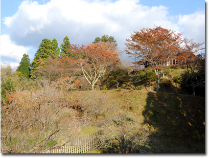 田峯城