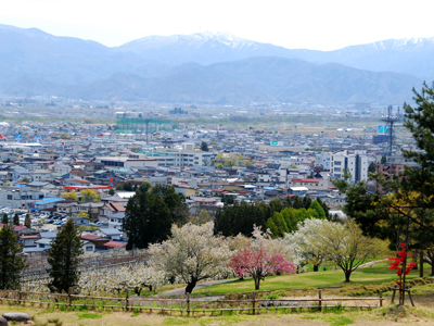 長岡山古戦場